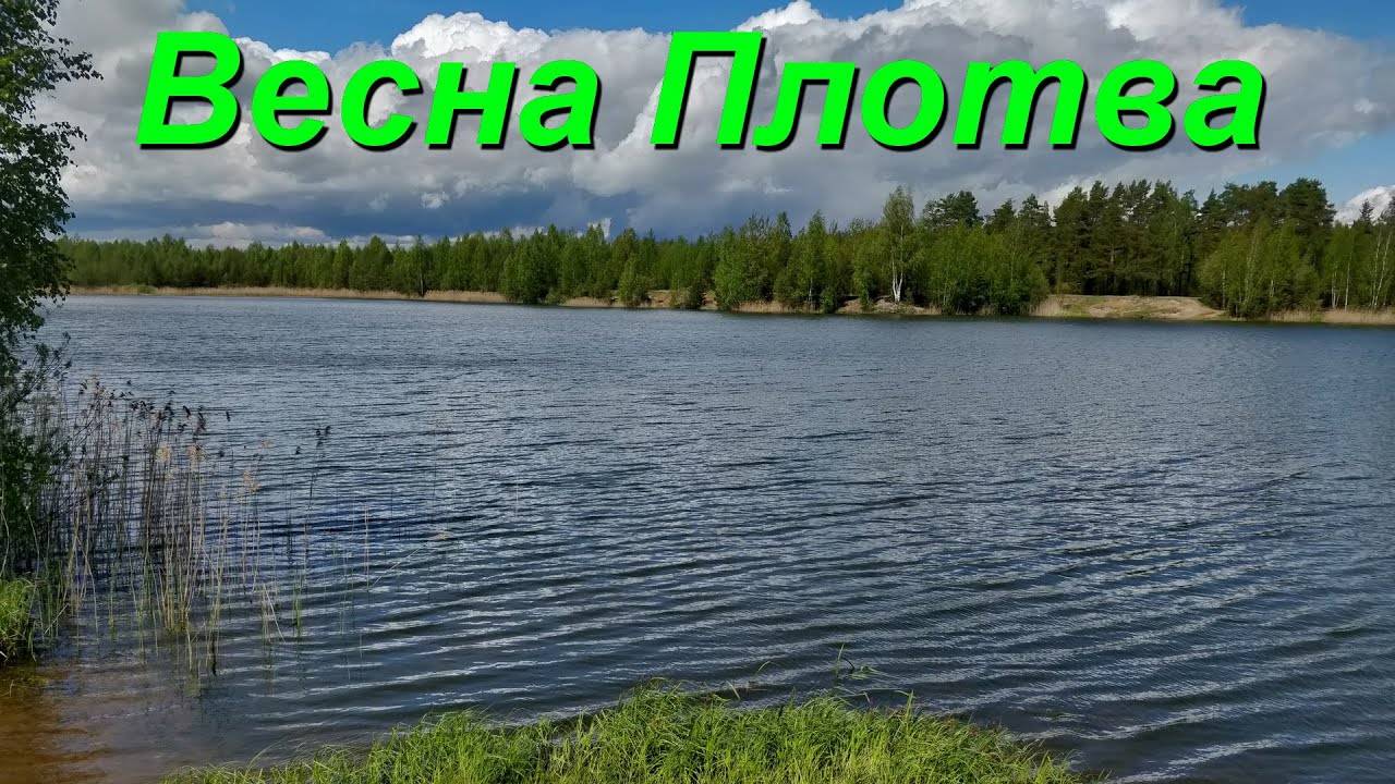 Весна Рыбалка На Плотву Подмосковье