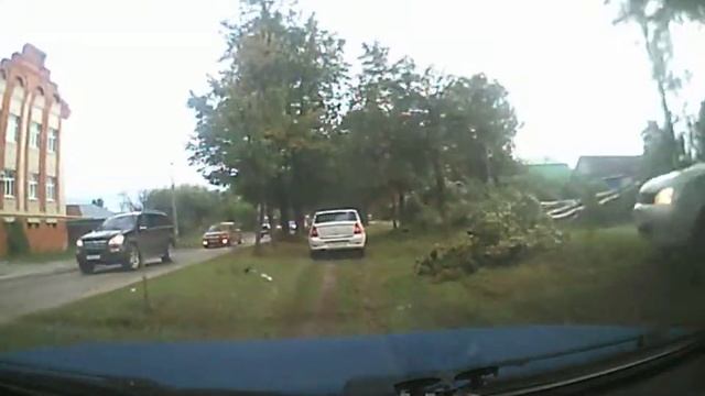 дерево на Волжской 29 августа 2014 смотреть онлайн