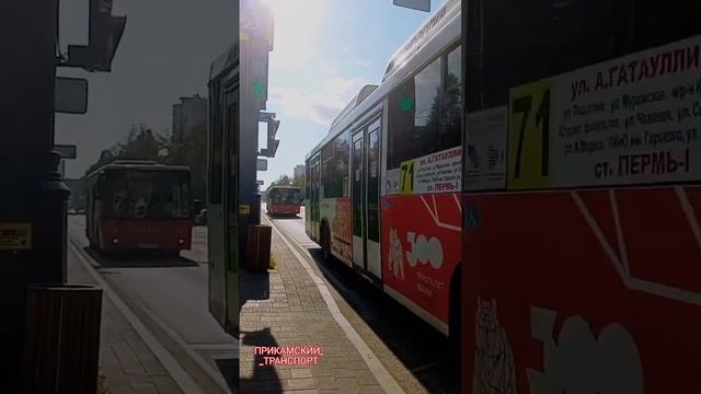 71 и 4 #пермскийтранспорт #пермь #пермькрасивая #music #автобус #bus #citybus