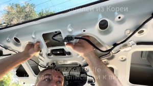 Как снять длинный болт крепления номера на KIA Carnival 4 из Кореи