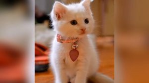 Добрый день