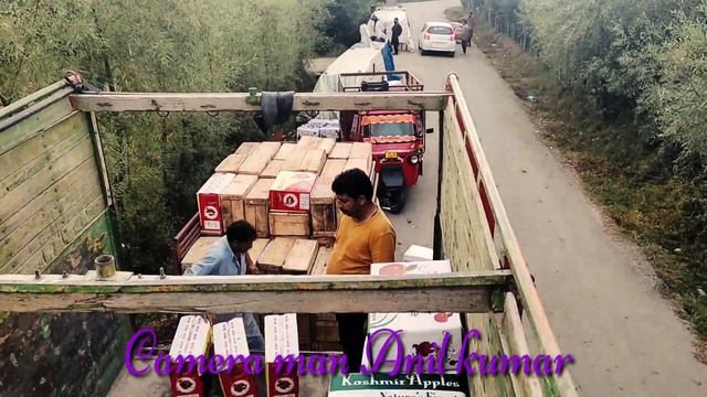 Kashmiri Apple supply смотреть онлайн