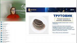 «Апи Фунго» комплекс и эликсир
