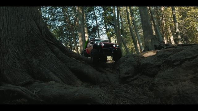 Axial SCX10 iii Jeep Wrangler Nature trail and Crawling. (4K)