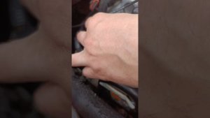 #авто #ремонт После мойки автомобиля не заводится двигатель