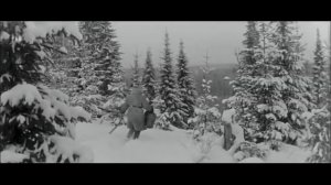 Старый клён  -  Фильм  Девчата ! Old Maple - Movie Girls !