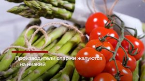 Лаутербах отчитал подчиненную за KitKat