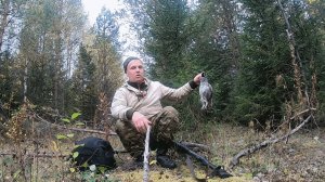 Охота на рябчика.