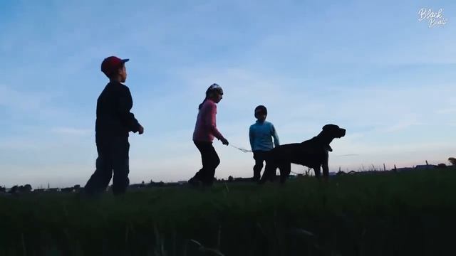 Детство #музыка #детство #песни #music смотреть онлайн