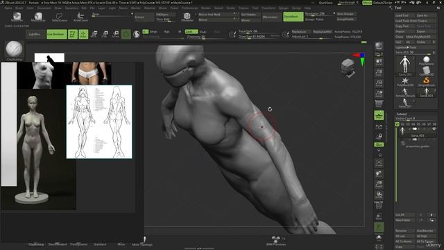 8. Arm Forms