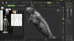 8. Arm Forms