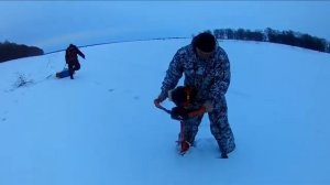 Ловля налима на ерша. 2019