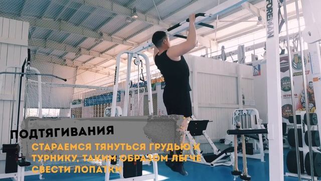 Тренировка спины и трицепса. Программа тренировок.