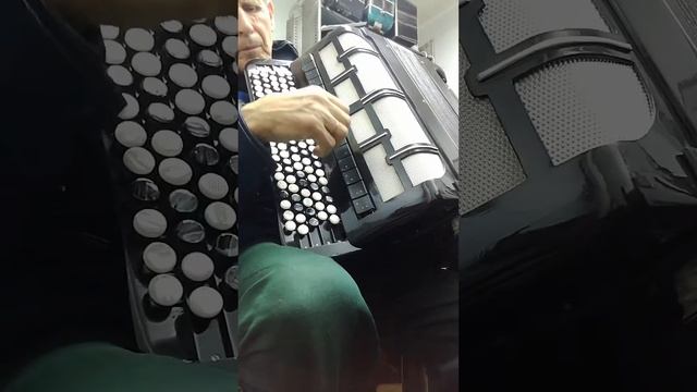 Баян Житомирской многотембровый готово-выборный смотреть онлайн