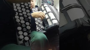 Баян Житомирской многотембровый готово-выборный