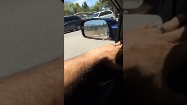 Sol-Guard Static Cling Car Window Tint смотреть онлайн