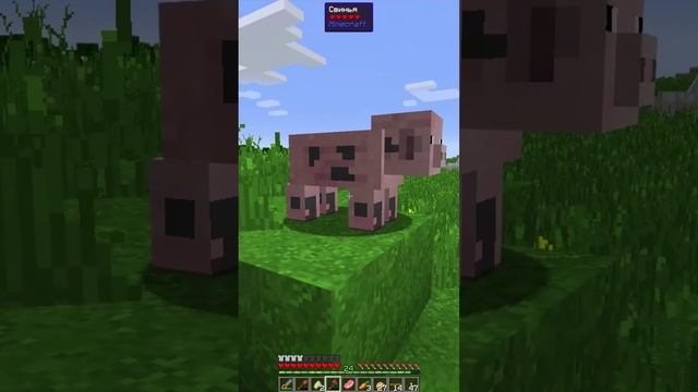 Гайд на Свинью в майнкрафт / Pig in Minecraft #shorts #minecraft #pig #gaming #games #майнкрафт