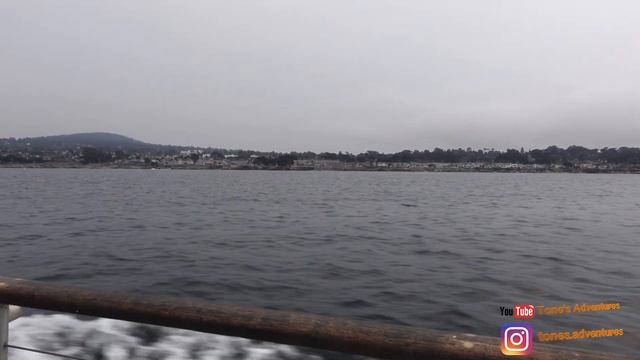 Whale Watching in Monterey | Sony ZV-1 | Fisherman's Wharf смотреть онлайн