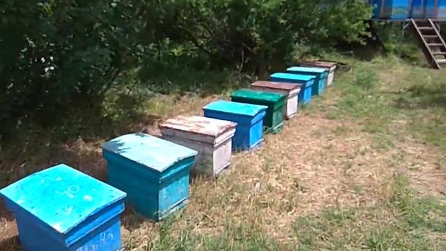 Пасека Жуковых. Качёвка.