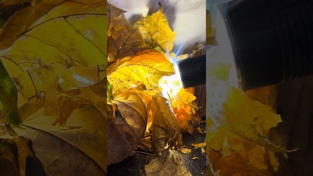 Convoy S21B XHP50.3 - Test temperatury (liście) смотреть онлайн