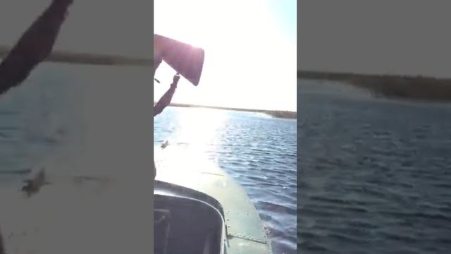 Загубье охота