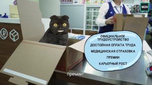 О работе в почте