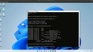 Windows11 ERROR kuhl_m_sekurlsa_acquireLSA ; Logon list