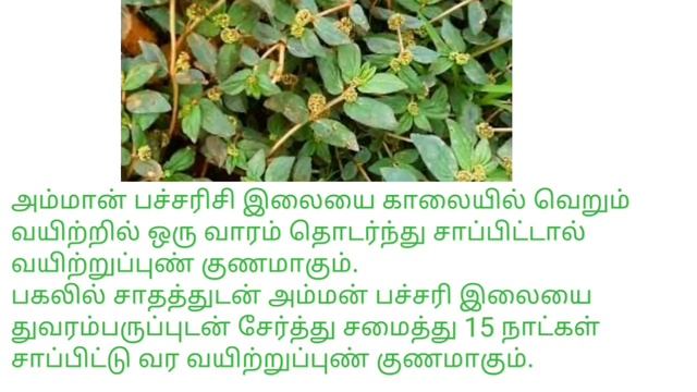 ulcer treatment in tamil/nenju erichal/vayiru erichal,thondai ericha,kudal pun treatment in tamil смотреть онлайн