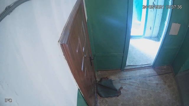 гадят соседи