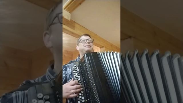 Сектор газа "Колхозный панк" на баяне.Песни Сектор газа на баяне.Баянист Михаил