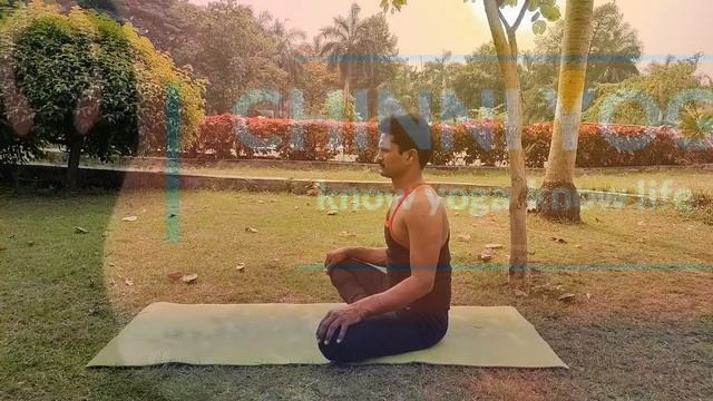 pachimottanasana | seated forward bend pose | steps | benifits | beginners смотреть онлайн