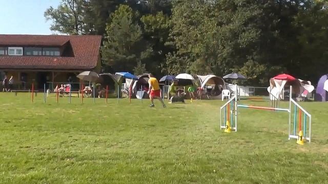 Ralf Träutlein & Chaplin J 3 Agilityturnier in Messelhausen am 29 8 2015 смотреть онлайн