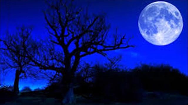 BLUE MOON (Richard Rodgers) смотреть онлайн