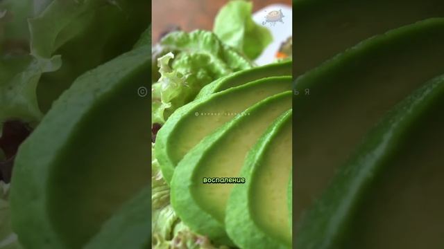 Продукты, которые любит поджелудочная железа #здоровье #здоровоепитание #панкреатит #здоровоетело