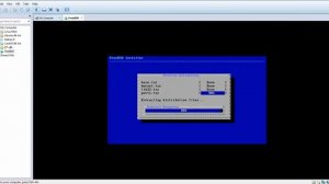 How to install freebsd 10 on vmware