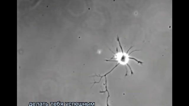 СЕКРЕТ ТВОЕГО УСПЕХА  #максимрыбалко