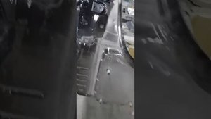 Tesla Model 3 обнажонка