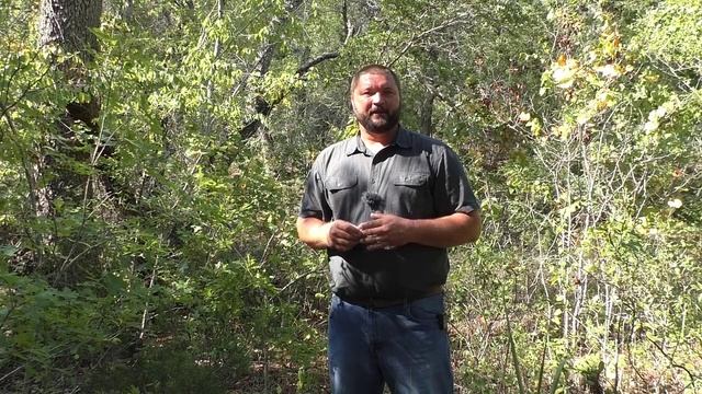 Leopold Live: Beneficial Plants for Wildlife смотреть онлайн