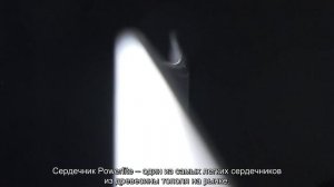 2023 Nitro - Pantera Snowboard