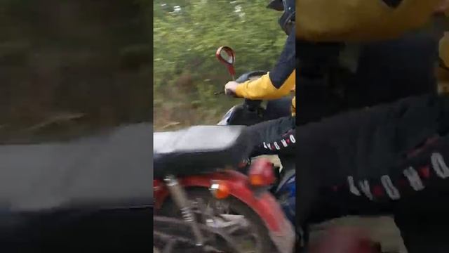 Джони прет в гору #приколы смотреть онлайн