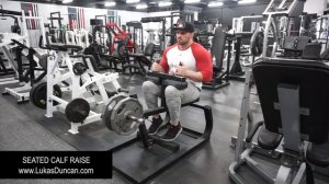 Seated Calf Raise