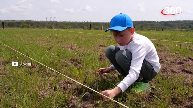Большое интервью Артёма Климовича. Как в подмосковье  начать «Пчелиный бизнес» с нуля!