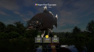 РР4 МЕДНОЕ В ПОВЫШЕННУЮ на точке 37-32 кл 8-10