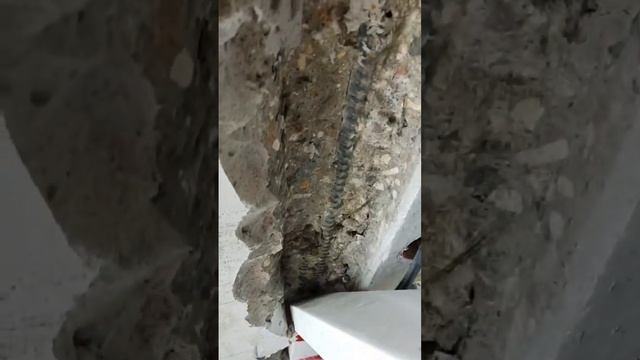 👷🏼♂️АРМАТУРА