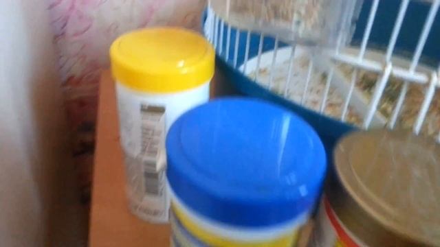 вова забалел смотреть онлайн