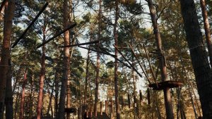 база отдыха сказка омск