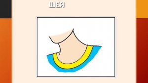 Презентации для детей по Доману. Части тело на русском и английском языке.