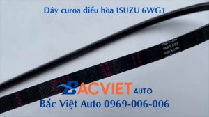 Dây curoa điều hòa ISUZU 6WG1