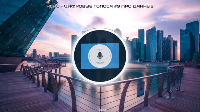 НСИС - Цифровые Голоса - Выпуск #9: Маскирование данных и их защита