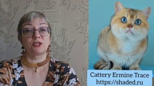Беседы о доминантном гене голубых глаз. Часть 5. Ваарденбург, телекант и т.п.